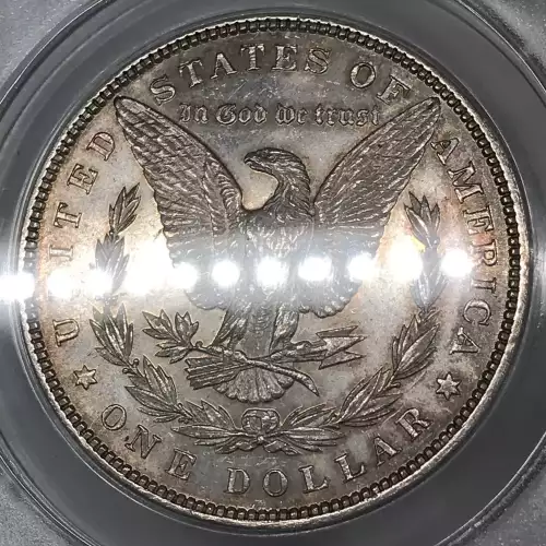 Morgan Silver Dollar (2)