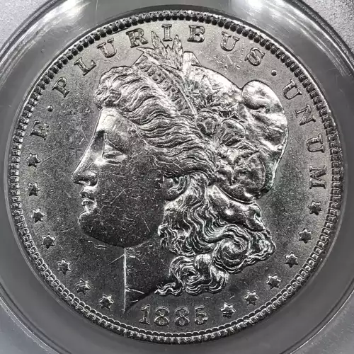 Morgan Silver Dollar (5)