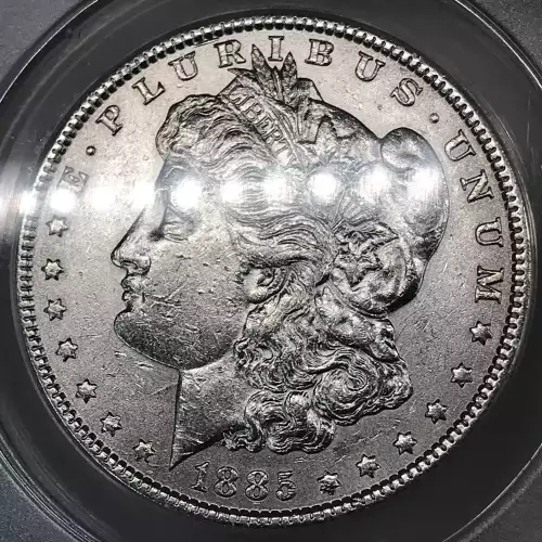 Morgan Silver Dollar (4)