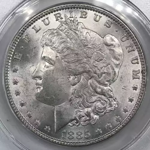 Morgan Silver Dollar (5)