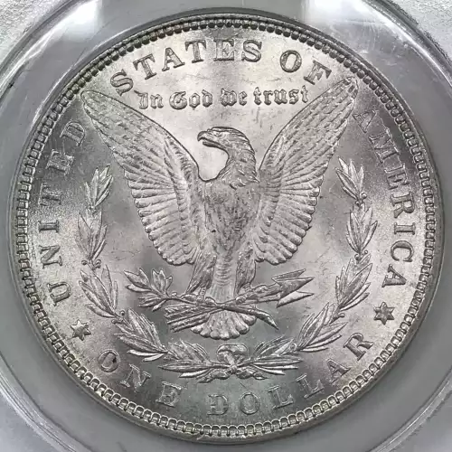 Morgan Silver Dollar (4)