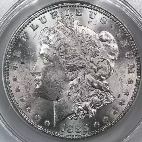 Morgan Silver Dollar (4)