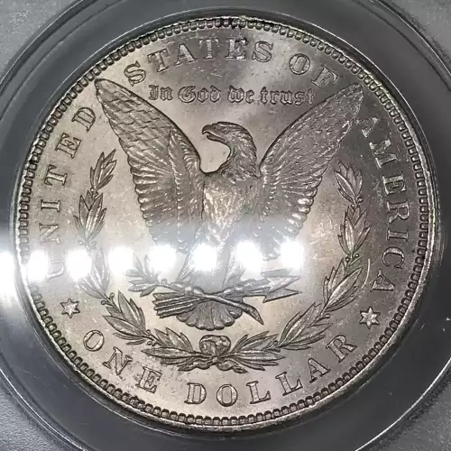 Morgan Silver Dollar (5)