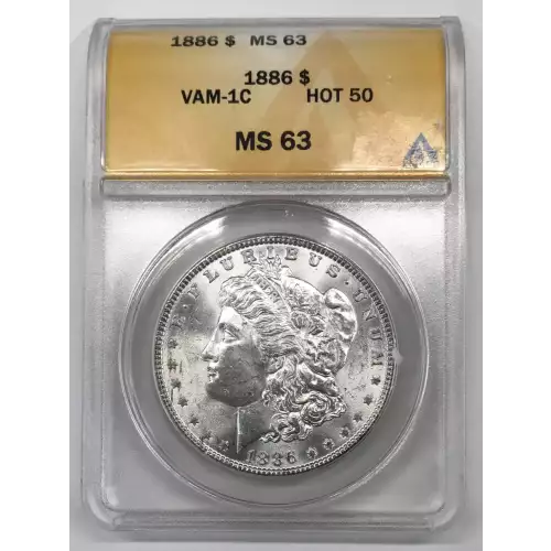 Morgan Silver Dollar (2)