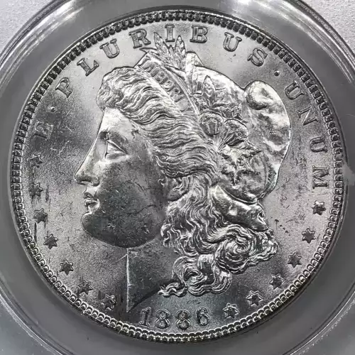 Morgan Silver Dollar (4)