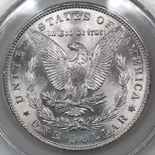 Morgan Silver Dollar (5)