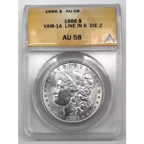 Morgan Silver Dollar (2)