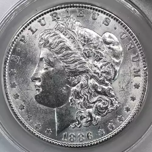 Morgan Silver Dollar (4)