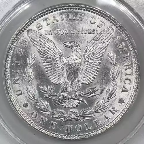 Morgan Silver Dollar (5)