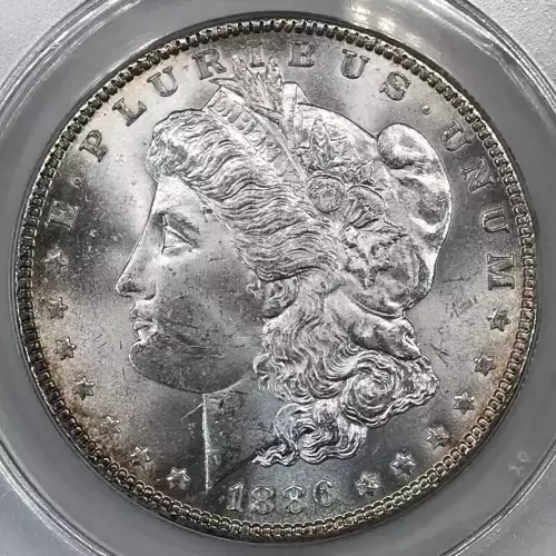 Morgan Silver Dollar (2)