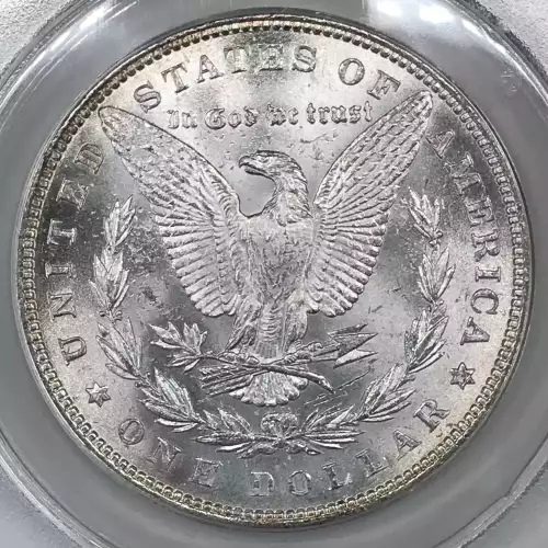 Morgan Silver Dollar (4)