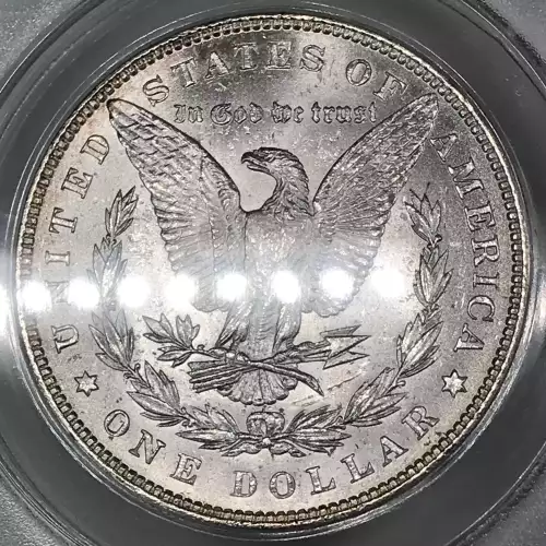 Morgan Silver Dollar (5)