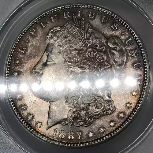 Morgan Silver Dollar (5)