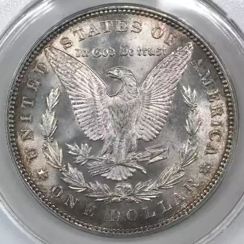 Morgan Silver Dollar (4)