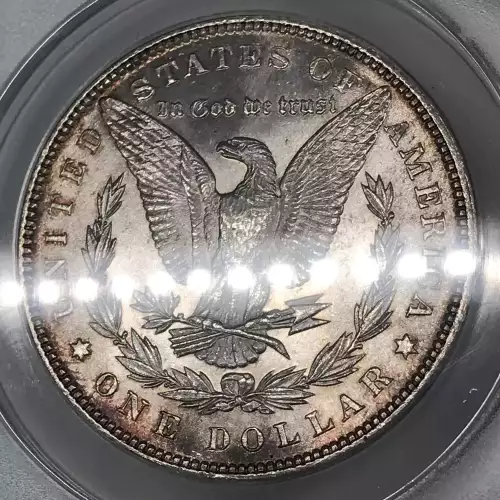 Morgan Silver Dollar