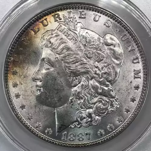 Morgan Silver Dollar (5)