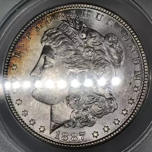 Morgan Silver Dollar (4)