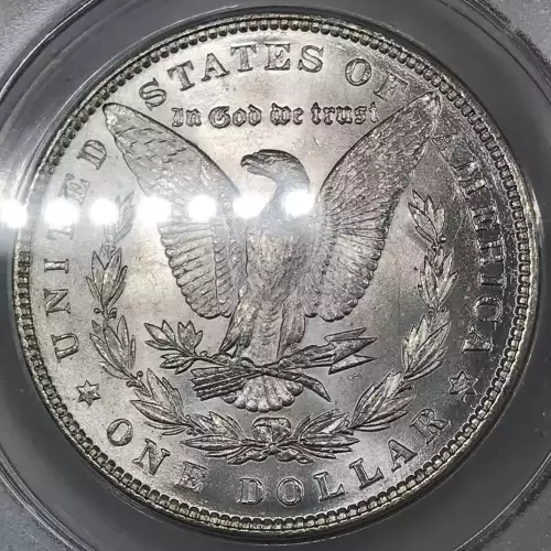 Morgan Silver Dollar (2)