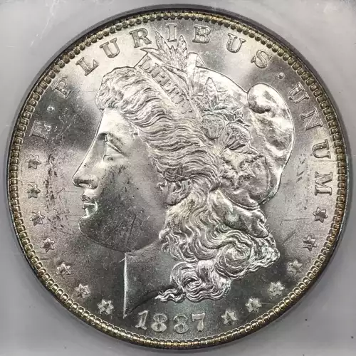 Morgan Silver Dollar (4)