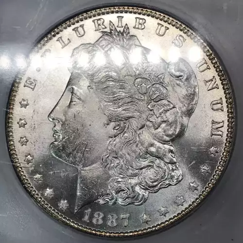 Morgan Silver Dollar (5)