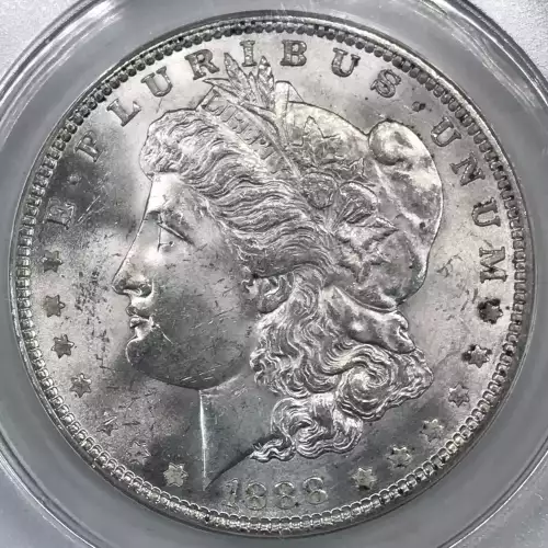 Morgan Silver Dollar (2)