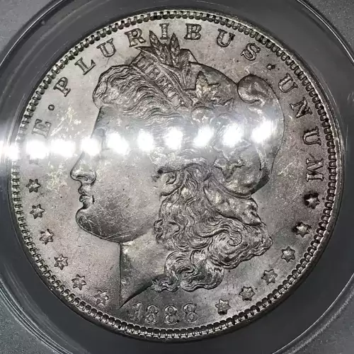 Morgan Silver Dollar (5)