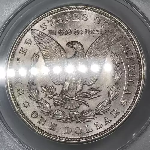 Morgan Silver Dollar (4)