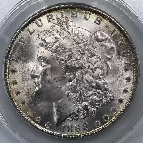 Morgan Silver Dollar (2)