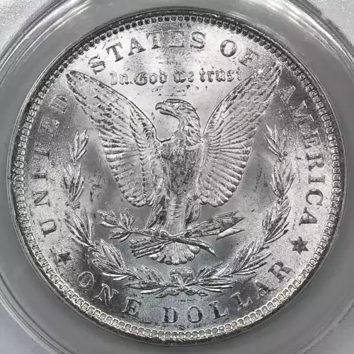 Morgan Silver Dollar (4)