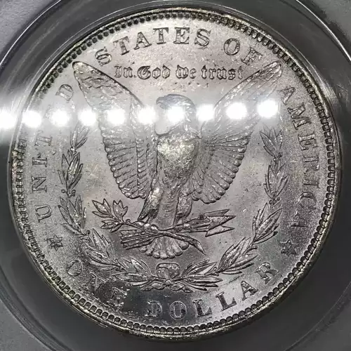 Morgan Silver Dollar (5)