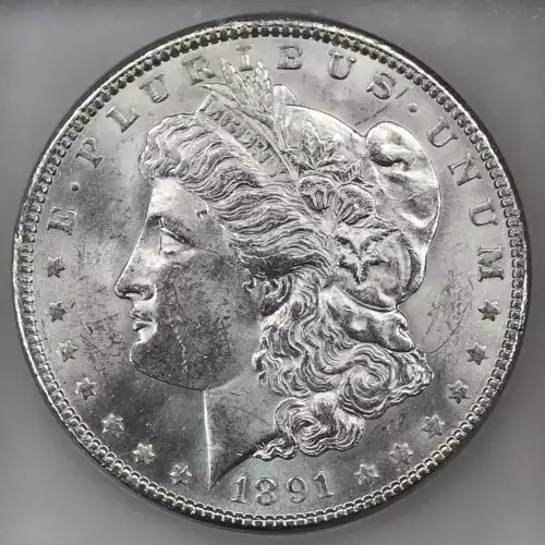 Morgan Silver Dollar (2)