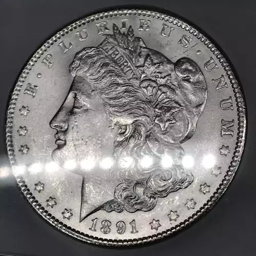 Morgan Silver Dollar (3)