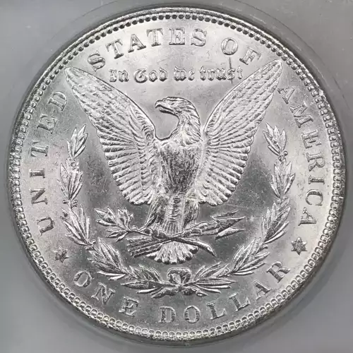 Morgan Silver Dollar (4)