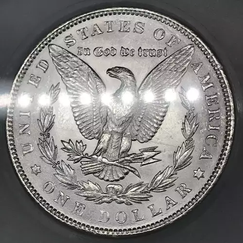 Morgan Silver Dollar (5)