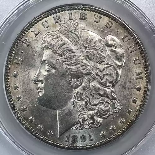 Morgan Silver Dollar (5)