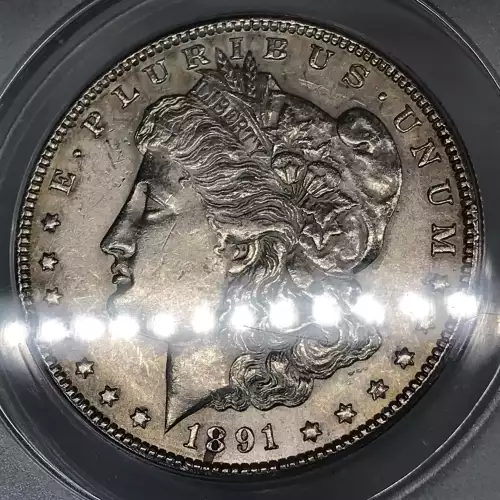 Morgan Silver Dollar (4)