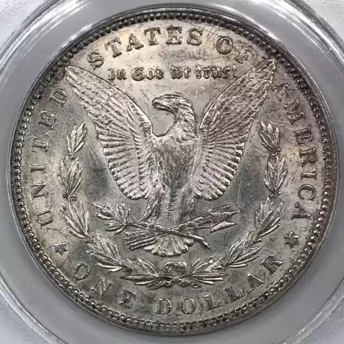 Morgan Silver Dollar (2)