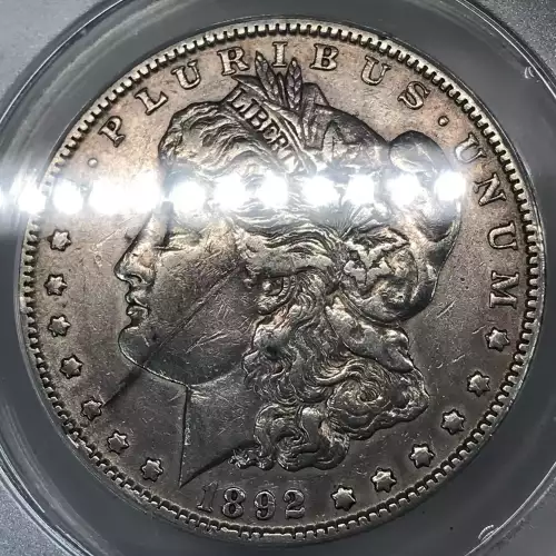 Morgan Silver Dollar (5)