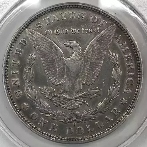 Morgan Silver Dollar (2)