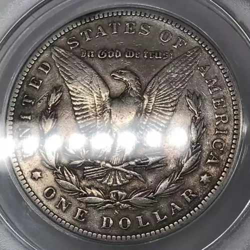 Morgan Silver Dollar (5)