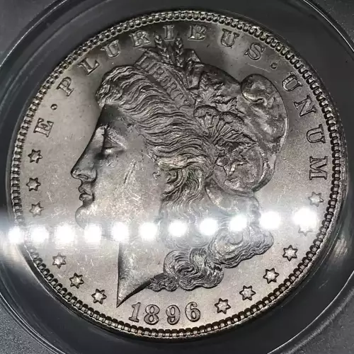 Morgan Silver Dollar (5)