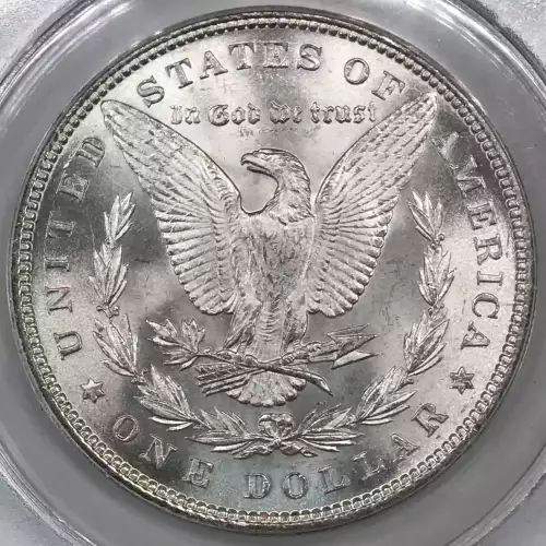 Morgan Silver Dollar (4)