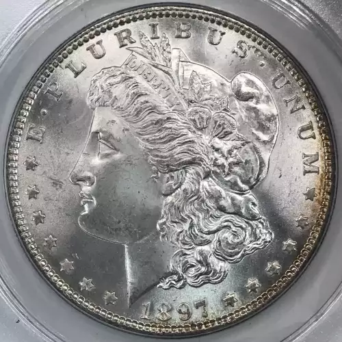 Morgan Silver Dollar (4)