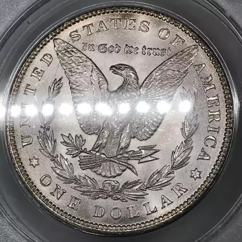 Morgan Silver Dollar (2)