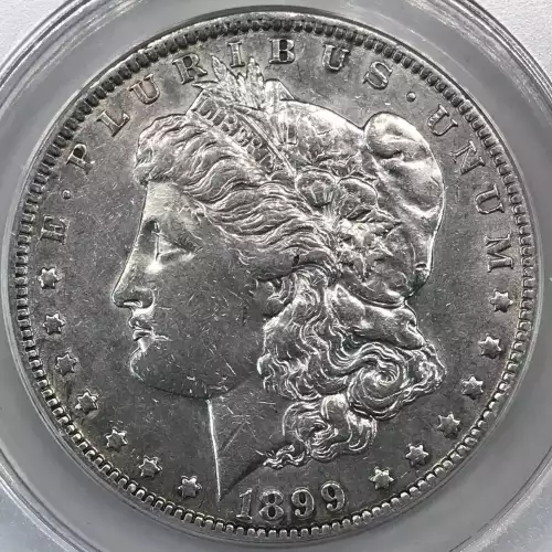 Morgan Silver Dollar (4)