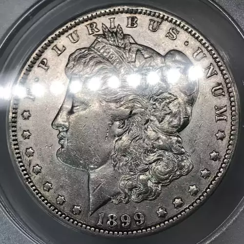 Morgan Silver Dollar (5)