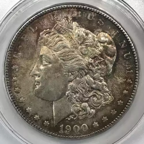 Morgan Silver Dollar (2)