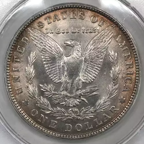 Morgan Silver Dollar (4)