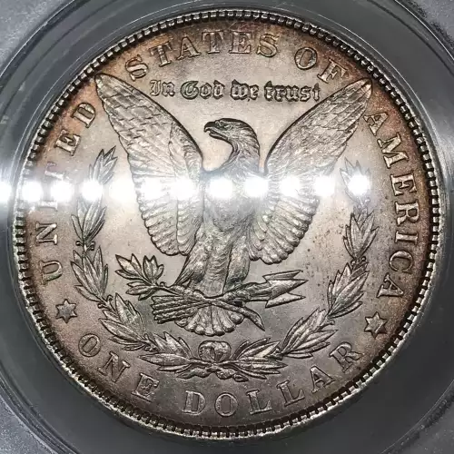 Morgan Silver Dollar (5)