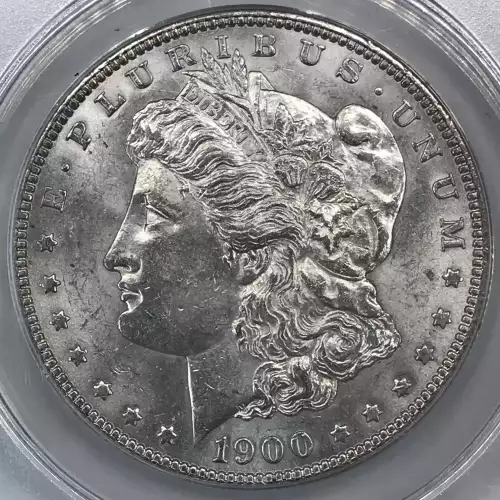 Morgan Silver Dollar (5)